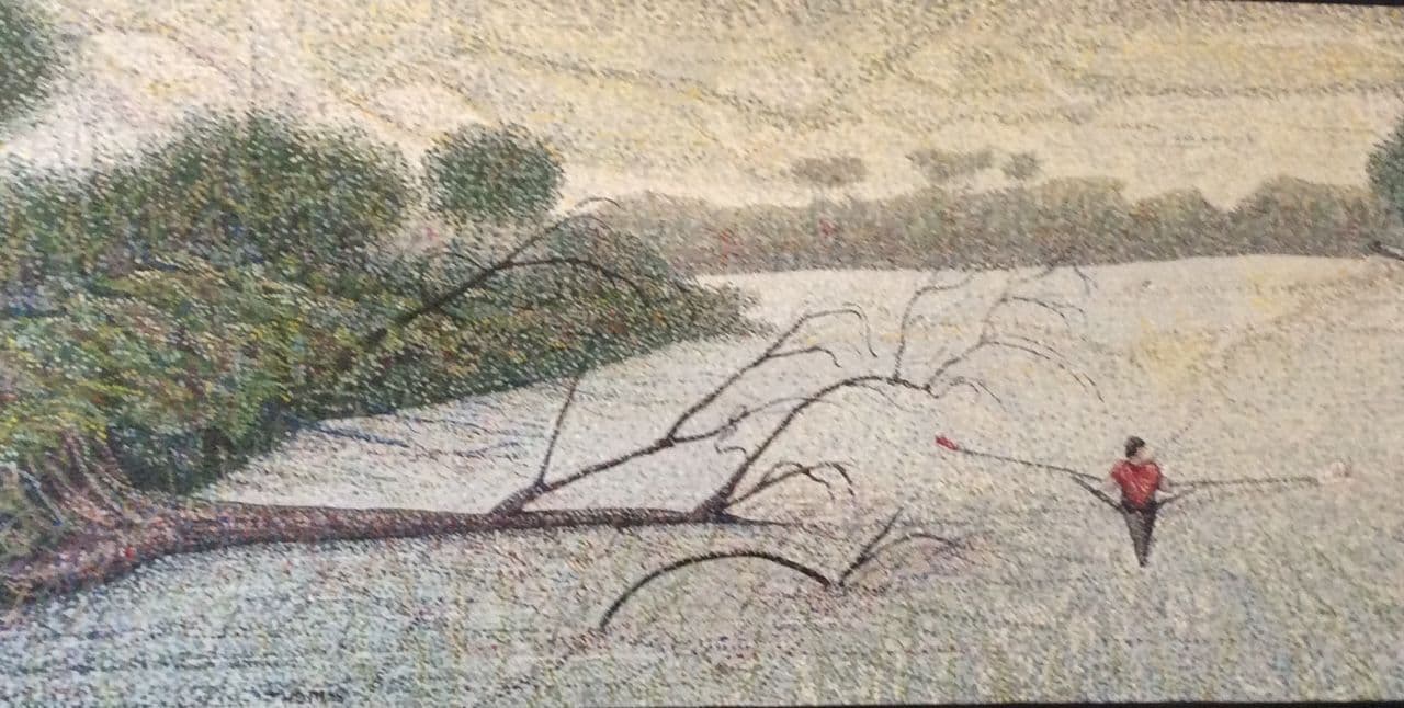 Sculler in the Back Bay